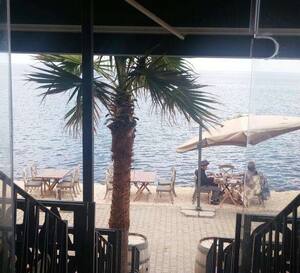 Tapavino Guzelbahce Izmir Zomato